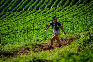 BIB: 
                            <button type="button" onclick="openModal(19161164)" class="btn btn-primary btn-sm float-right btn-popup" data-toggle="modal" data-target=".modal-high-quality">
                        <i class="fas fa-shopping-cart"></i> Add to Cart
                    </button>
                                            <button type="button" onclick="isThisMe(19161164, true)" class="btn btn-success btn-sm float-right btn-popup btn-isme hidden" data-toggle="tooltip" data-placement="bottom" title="นี่คือรูปของคุณใช่ไหม คลิกที่นี่เพื่อเอาเข้าอัลบั้ม">
                        <i class="fas fa-plus"></i> Add to album
                    </button>
                    <button type="button" onclick="isThisMe(19161164, false)" class="btn btn-warning btn-sm float-right btn-popup btn-isnotme hidden">
                        <i class="fas fa-ban"></i> Remove from album
                    </button>